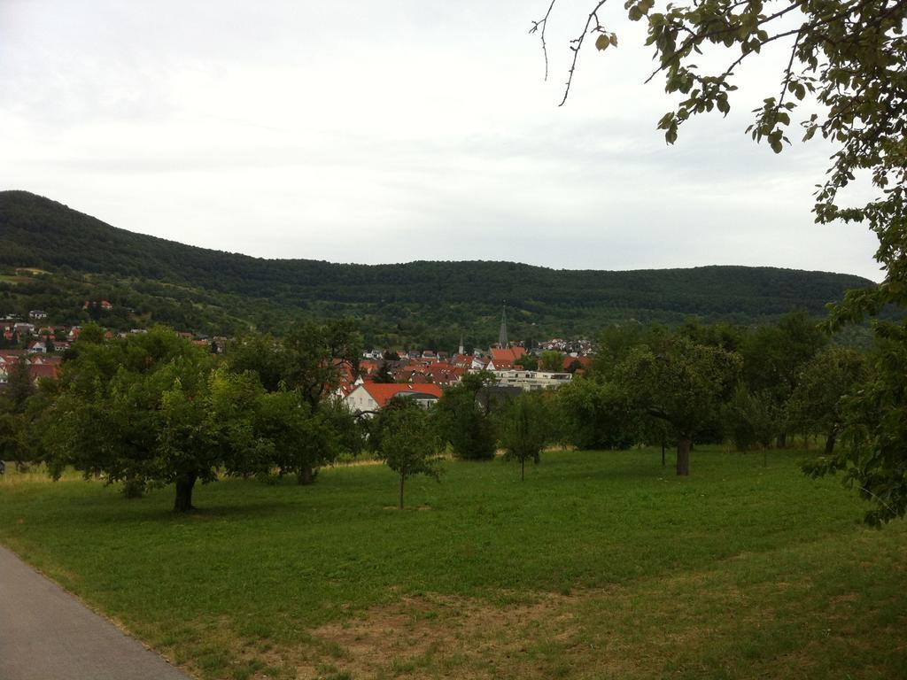 Ferienwohnung Heike Dettingen an der Erms Buitenkant foto